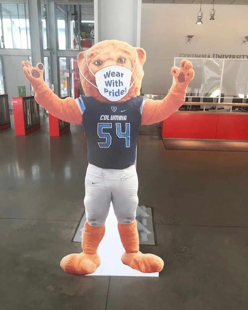 Roaree cutout